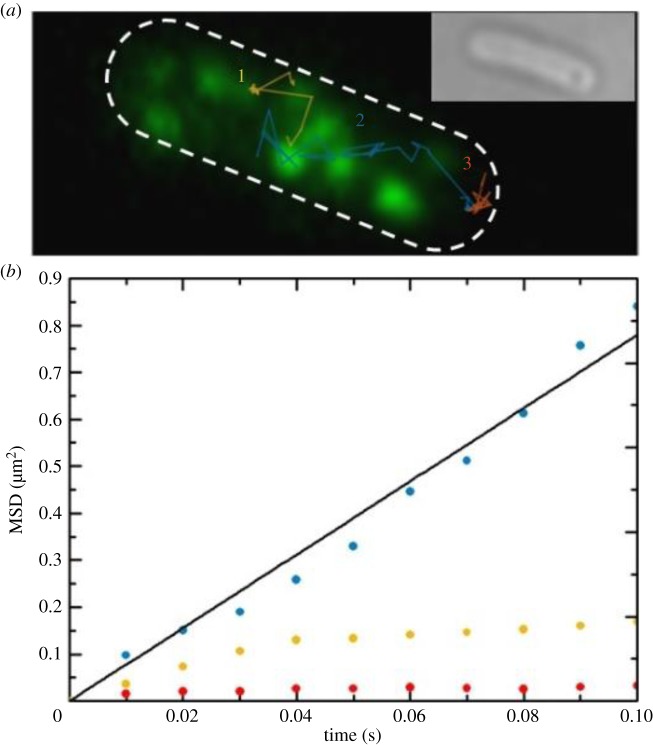 Figure 9.