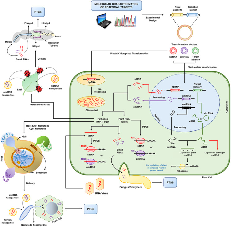 FIGURE 2