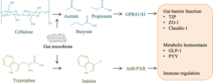 Figure 5