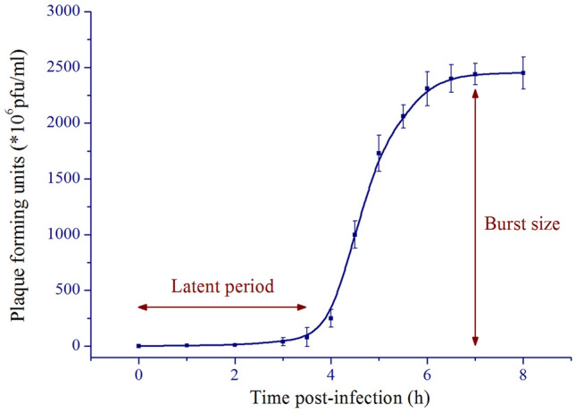 Fig. 2