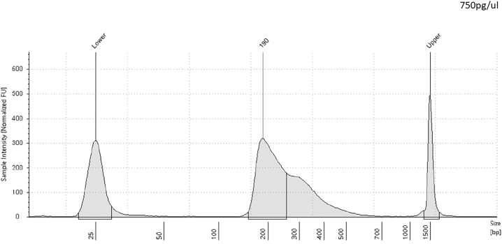 Figure 4