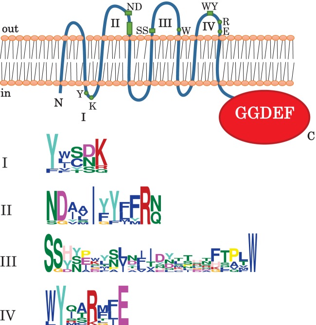 FIG 2