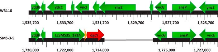 FIG 3