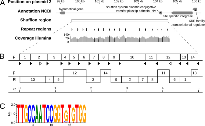 Figure 4.