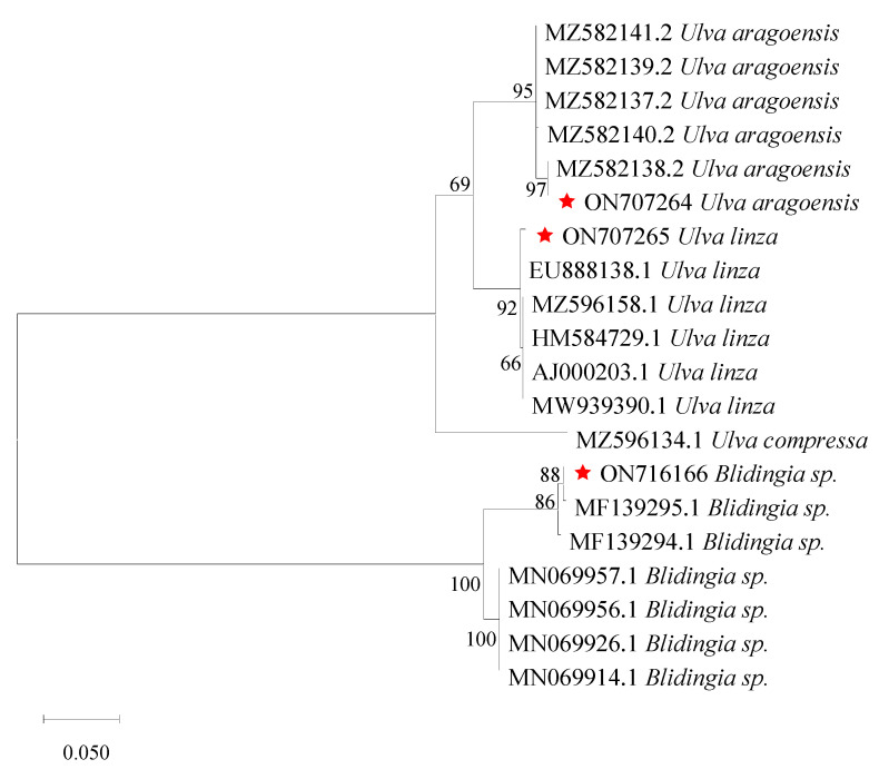 Figure 2