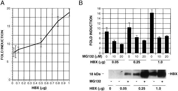 FIG. 6