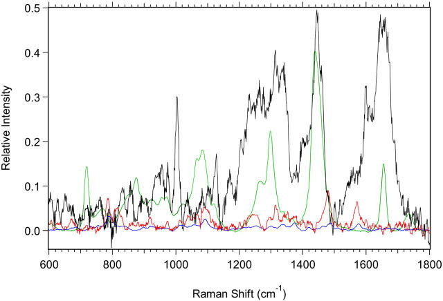 FIGURE 11