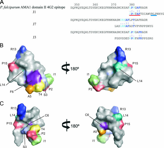 FIG.8.