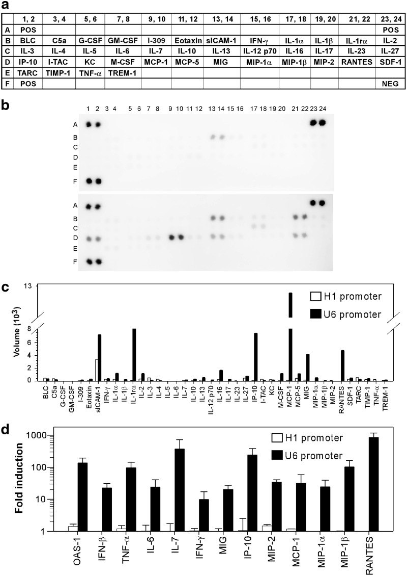 FIG. 6.