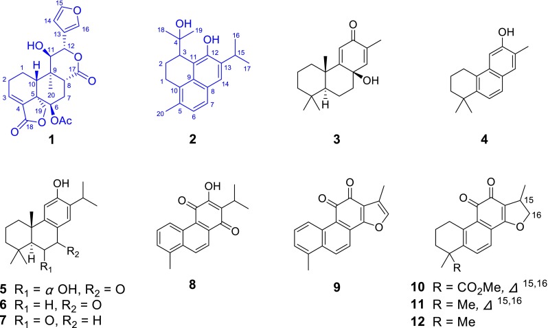 Fig. 1