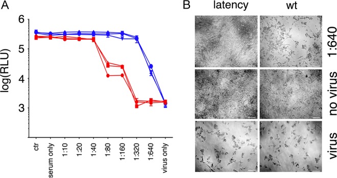 FIG 6