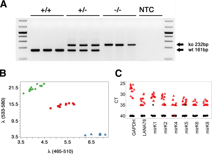 FIG 1