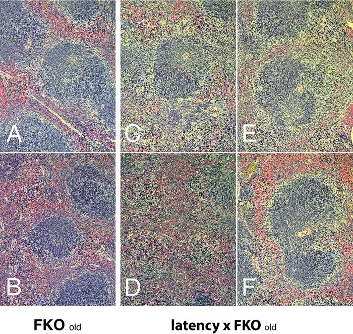 FIG 4