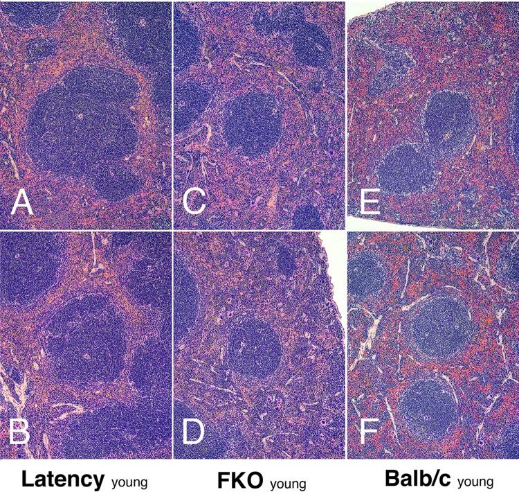 FIG 3