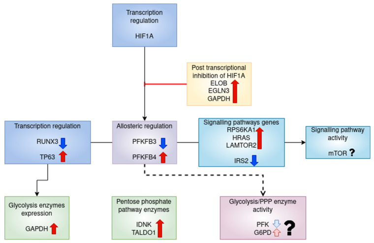 Figure 20