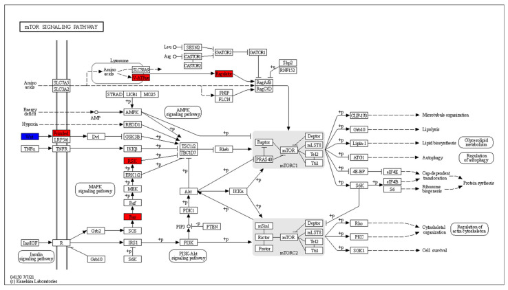 Figure 13