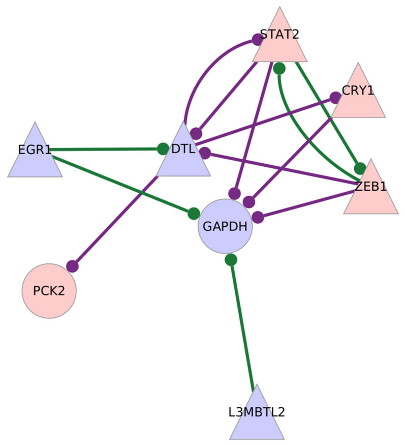 Figure 7