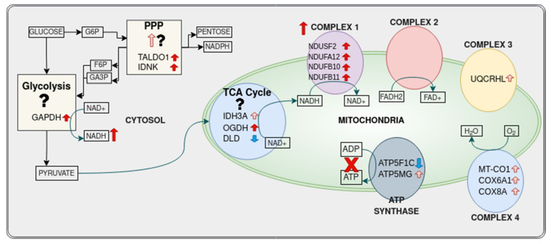 Figure 16