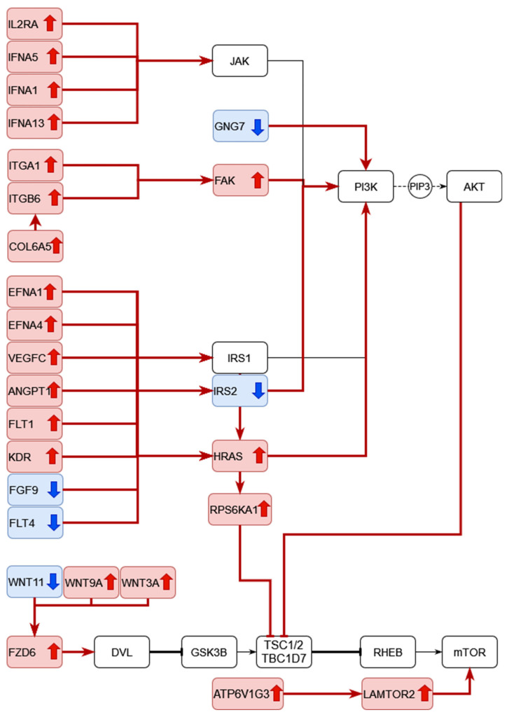 Figure 19