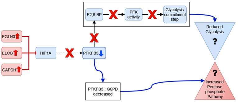 Figure 17