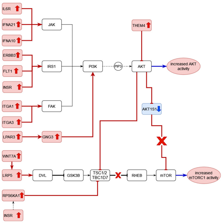 Figure 21