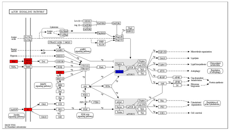 Figure 15