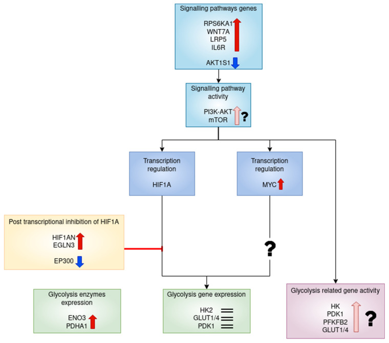 Figure 22