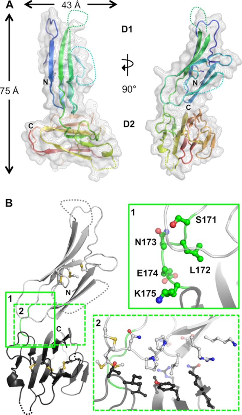 FIGURE 3.