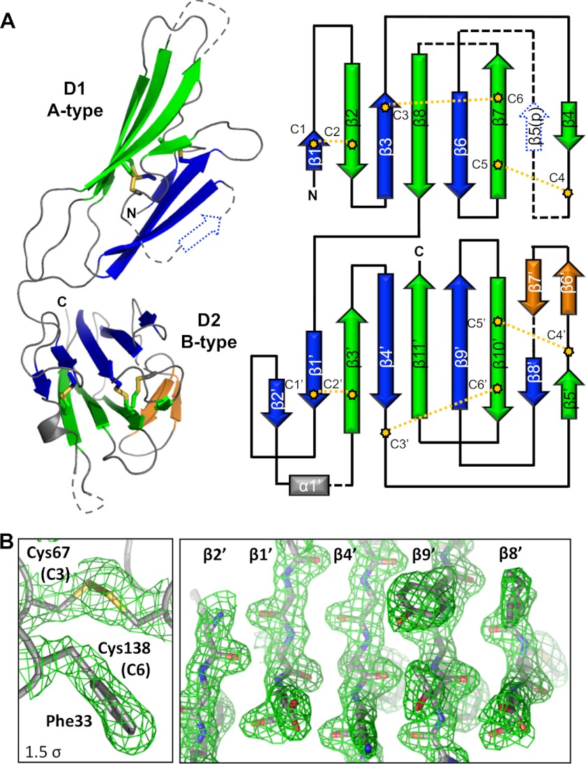 FIGURE 4.