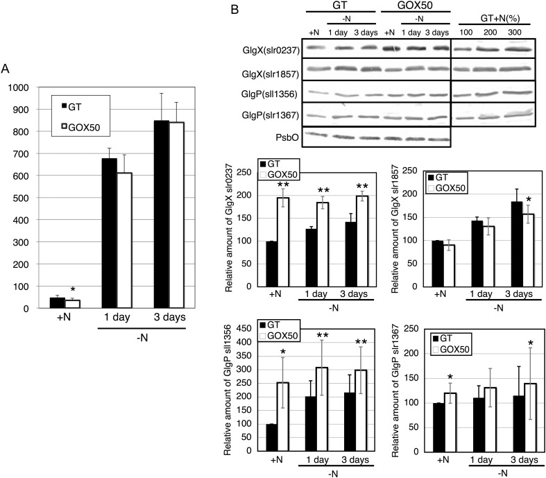 Figure 2.