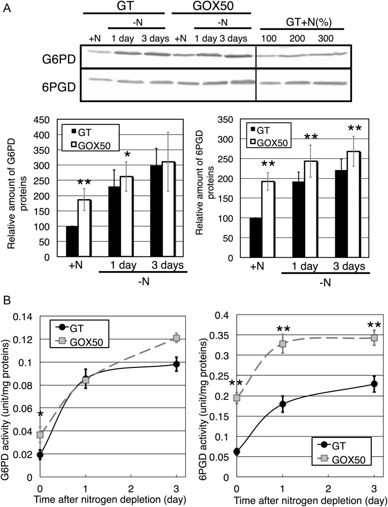 Figure 3.