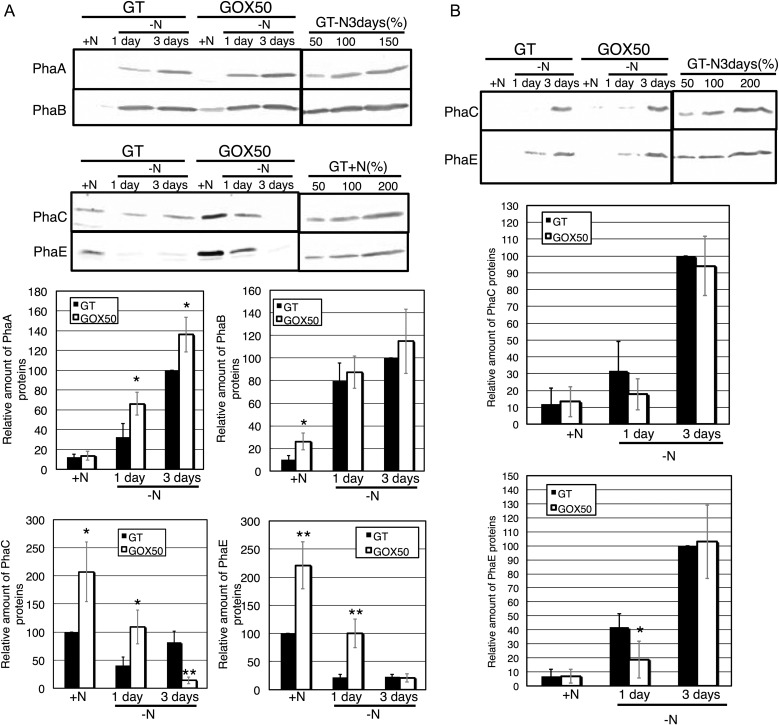 Figure 4.