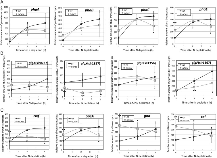 Figure 1.