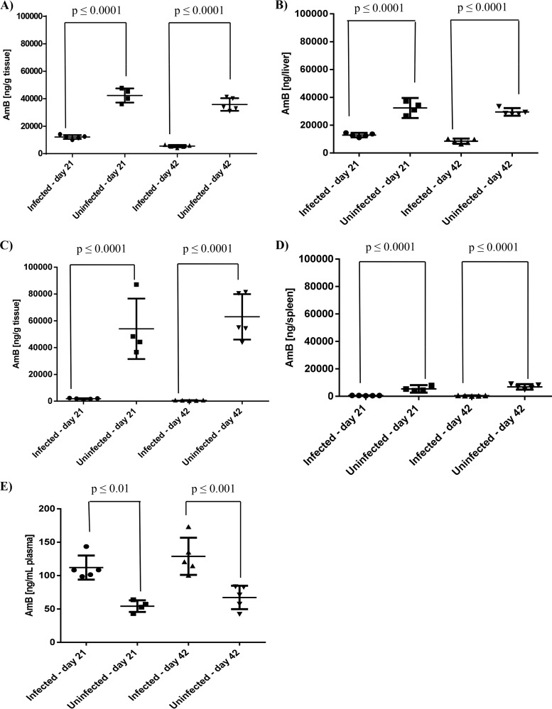 FIG 2