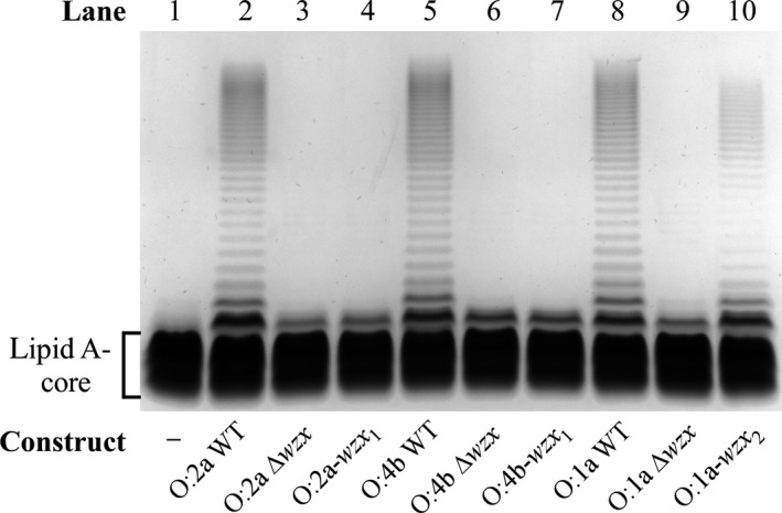 Figure 4