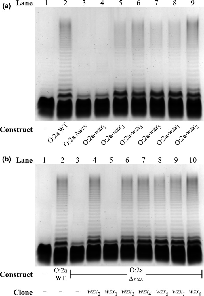 Figure 6