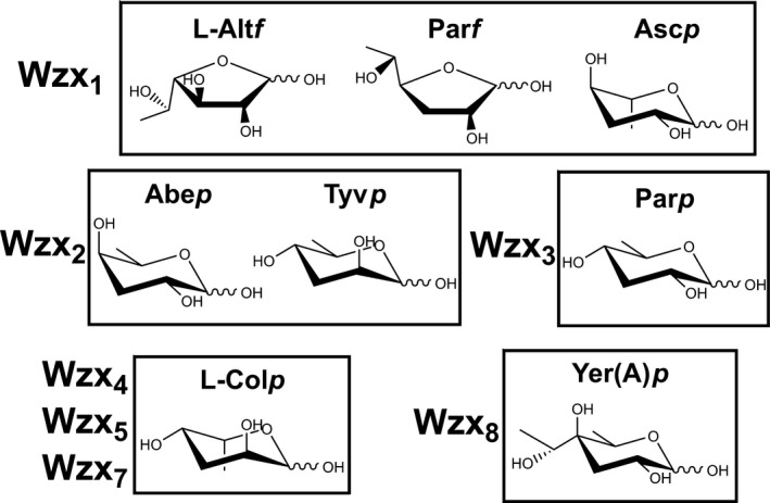 Figure 7