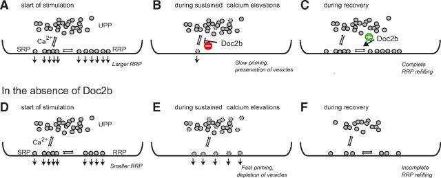 Figure 9.