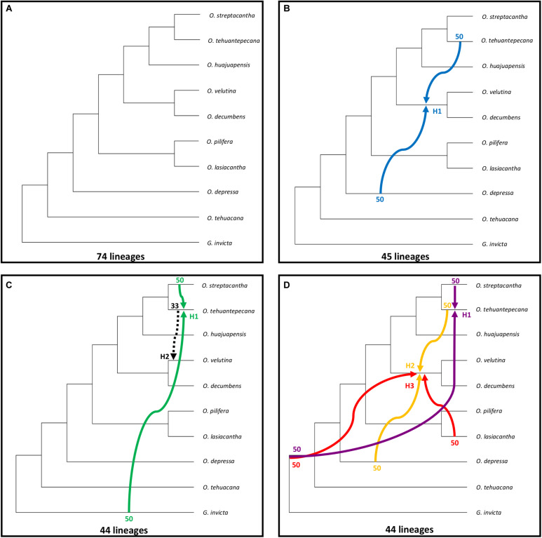 FIGURE 4