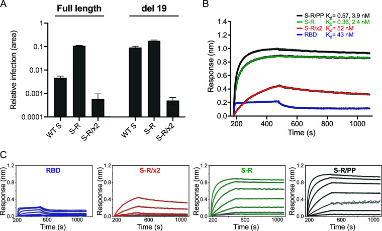 FIG 2