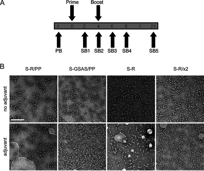 FIG 3