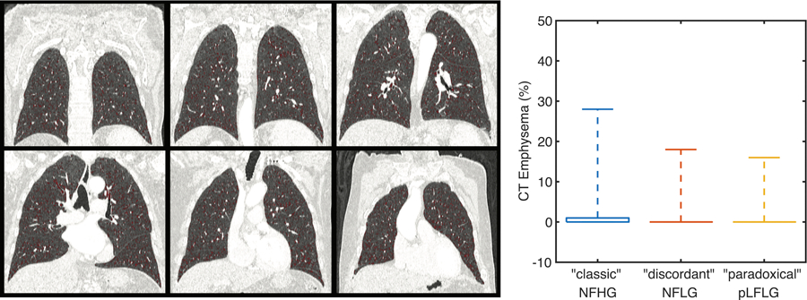 Figure 5: