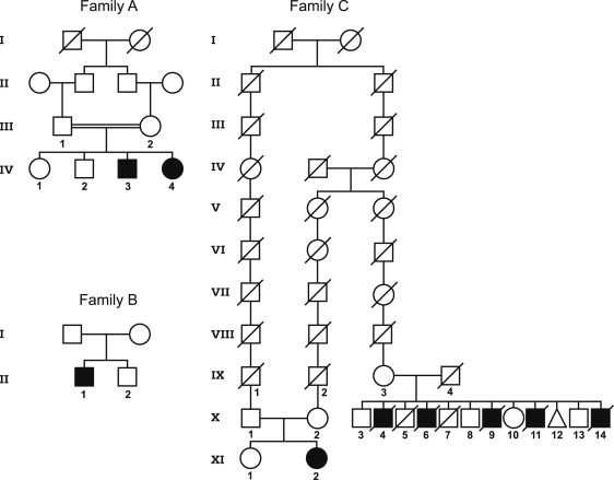 Figure 1