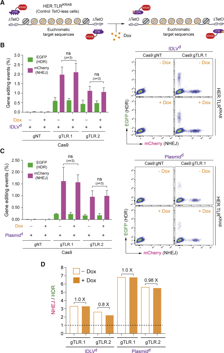 Figure 4