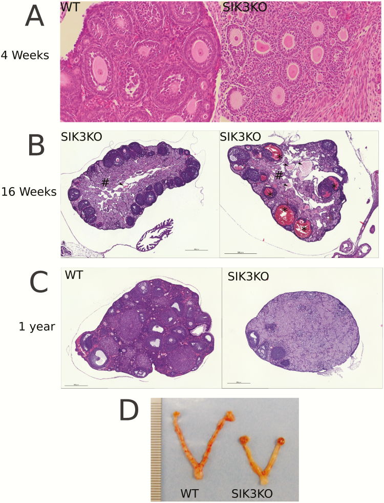 Figure 9.