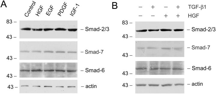 Figure 9.