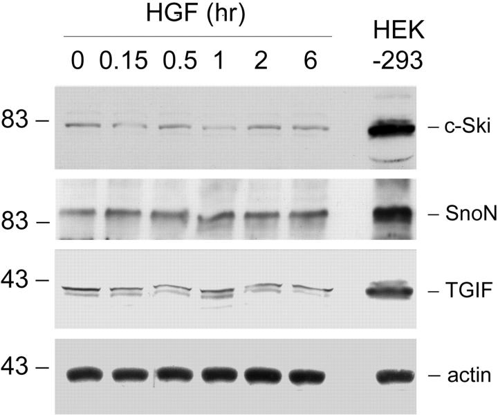 Figure 10.