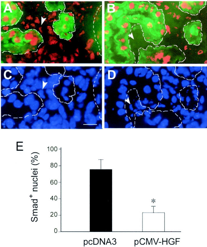 Figure 11.