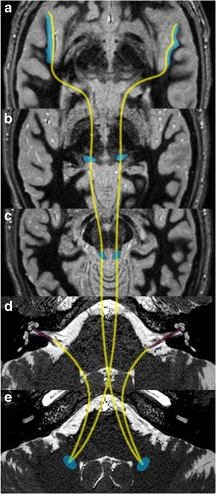 Fig. 8