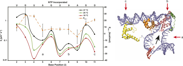 Fig. 4.